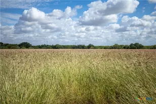 560 PR Goose Creek Ln, Jourdanton, TX 78026 - Photo 9