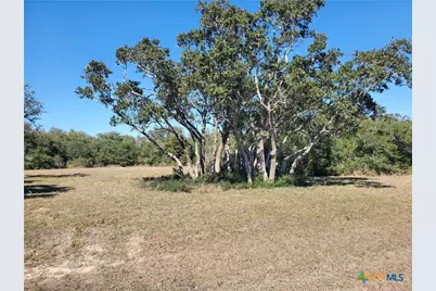 Tbd Bayside Drive, Seadrift, TX 77983 - Photo 3