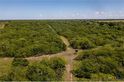 1110 County Road 103, Runge, TX 78151 - Photo 17