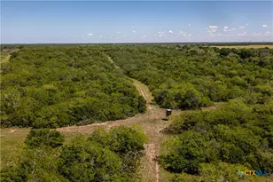1110 County Rd 103, Runge, TX 78151 - Photo 17