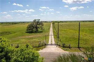 1110 County Rd 103, Runge, TX 78151 - Photo 7