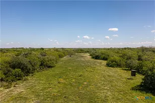 1110 County Rd 103, Runge, TX 78151 - Photo 19