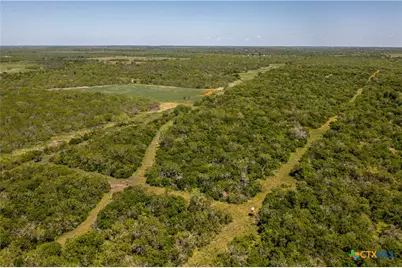 1110 County Road 103, Runge, TX 78151 - Photo 15