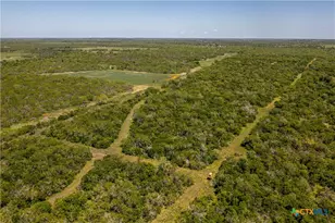 1110 County Rd 103, Runge, TX 78151 - Photo 15