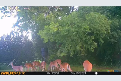 130 Spring Lane, China Spring, TX 76633 - Photo 39