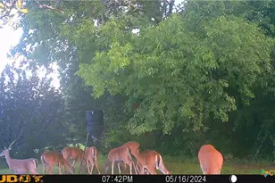 130 Spring Ln, China Spring, TX 76633 - Photo 39