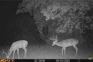 130 Spring Ln, China Spring, TX 76633 - Photo 37