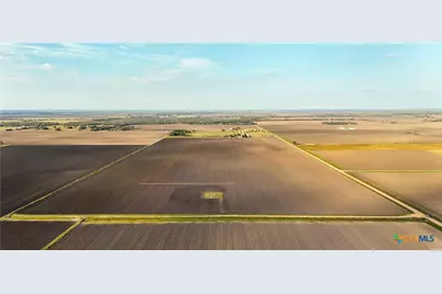 Tbd Cr 335 Road, Louise, TX 77455 - Photo 13