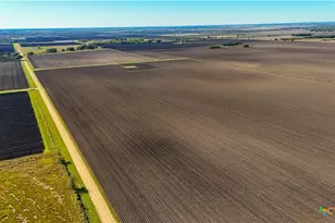 Tbd Cr 335 Rd, Louise, TX 77455 - Photo 9