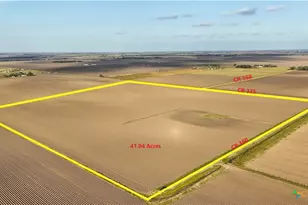 Tbd Cr 335 Rd, Louise, TX 77455 - Photo 3