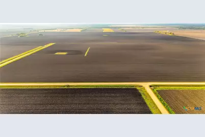 Tbd Cr 335 Road, Louise, TX 77455 - Photo 11