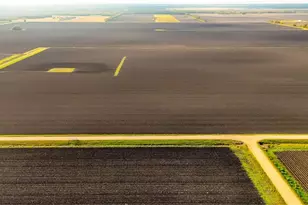 Tbd Cr 335 Rd, Louise, TX 77455 - Photo 11