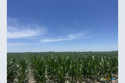 Tbd Cr 335 Road, Louise, TX 77455 - Photo 21