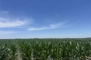 Tbd Cr 335 Rd, Louise, TX 77455 - Photo 21