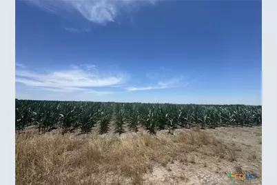 Tbd Cr 335 Road, Louise, TX 77455 - Photo 19