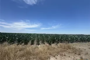 Tbd Cr 335 Rd, Louise, TX 77455 - Photo 19