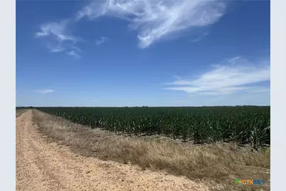 Tbd Cr 335 Road, Louise, TX 77455 - Photo 15