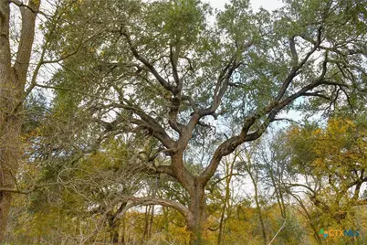 3237 Church Road, Seguin, TX 78155 - Photo 3