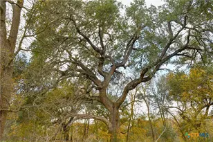 3237 Church Rd, Seguin, TX 78155 - Photo 3