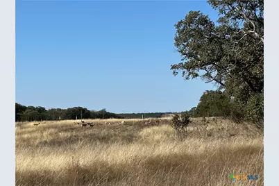 Lot 186 Blackbuck Ridge Drive, Lampasas, TX 76550 - Photo 17