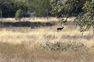 Lot 186 Blackbuck Ridge Dr, Lampasas, TX 76550 - Photo 15