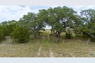 Lot 186 Blackbuck Ridge Drive, Lampasas, TX 76550 - Photo 9