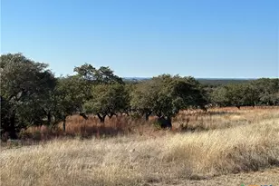 Lot 186 Blackbuck Ridge Dr, Lampasas, TX 76550 - Photo 27