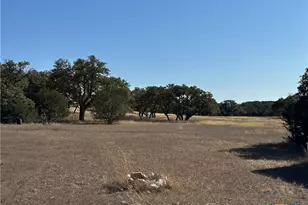 Lot 186 Blackbuck Ridge Dr, Lampasas, TX 76550 - Photo 23