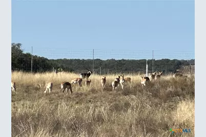Lot 186 Blackbuck Ridge Drive, Lampasas, TX 76550 - Photo 19