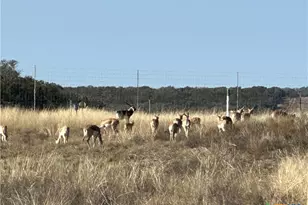 Lot 186 Blackbuck Ridge Dr, Lampasas, TX 76550 - Photo 19