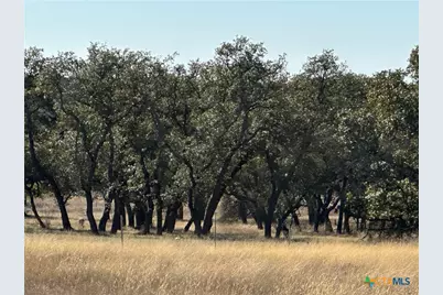 Lot 186 Blackbuck Ridge Drive, Lampasas, TX 76550 - Photo 13