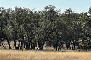 Lot 186 Blackbuck Ridge Dr, Lampasas, TX 76550 - Photo 13