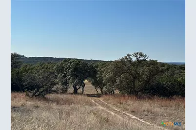 Lot 186 Blackbuck Ridge Drive, Lampasas, TX 76550 - Photo 7