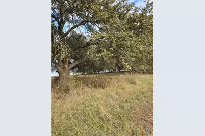 454 Grand Canyon Drive, Oglesby, TX 76561 - Photo 1