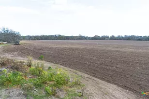 8195 FM725, Mcqueeney, TX 78123 - Photo 23