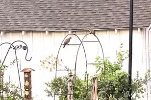 203 N 10th St, Gatesville, TX 76528 - Photo 15