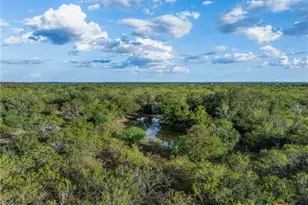 399 Seals Creek Rd, Lockhart, TX 78644 - Photo 17