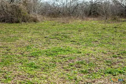 000 Mineral Cemetary, Beeville, TX 78102 - Photo 13