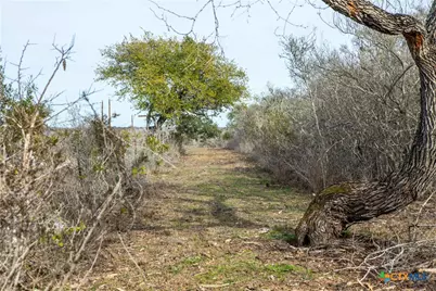 000 Mineral Cemetary, Beeville, TX 78102 - Photo 25