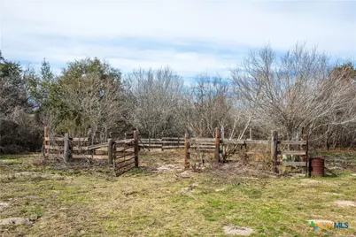 000 Mineral Cemetary, Beeville, TX 78102 - Photo 5