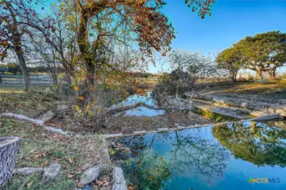 Tbd Falling Oak Drive, Blanco, TX 78606 - Photo 23