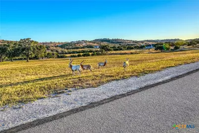 Tbd Falling Oak Lot 136 Drive, Blanco, TX 78606 - Photo 35