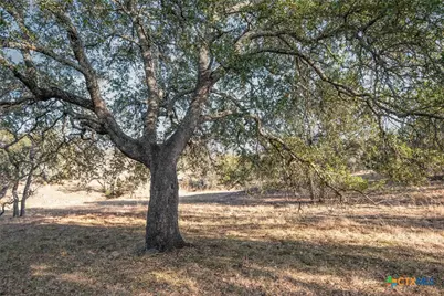 301 Quartz Way, Horseshoe Bay, TX 78657 - Photo 13