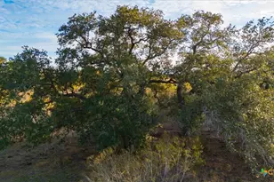 14858 Fm 1322, Luling, TX 78648 - Photo 21