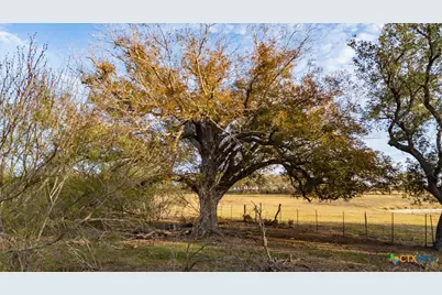 14858 Fm 1322, Luling, TX 78648 - Photo 23
