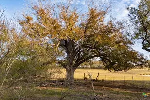 14858 Fm 1322, Luling, TX 78648 - Photo 23