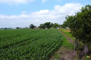 8901 FM437, Rogers, TX 76569 - Photo 7