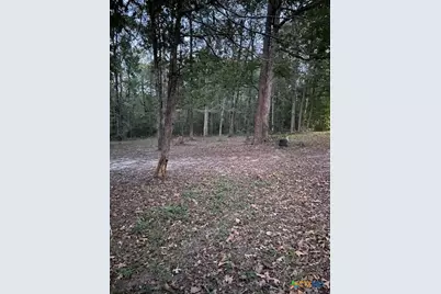 288 Forest Drive, Hemphill, TX 75948 - Photo 7