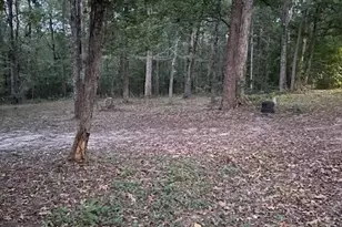 288 Forest Dr, Hemphill, TX 75948 - Photo 7