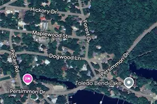 288 Forest Dr, Hemphill, TX 75948 - Photo 41